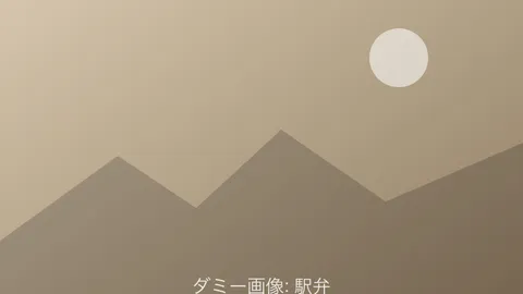 駅弁（ダミー画像）