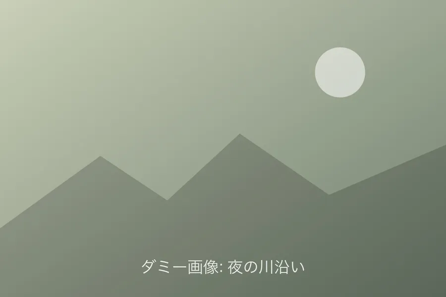 夜の川沿い（ダミー画像）