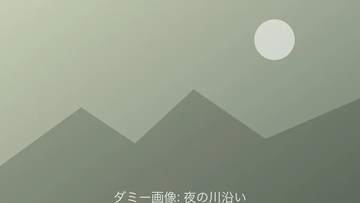 夜の川沿い（ダミー画像）